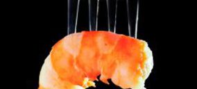 La familia Cuevas pisa el acelerador con el proyecto de un nuevo cocedero