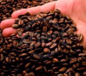 Sferic Coffee presenta concurso tras cumplir dos años