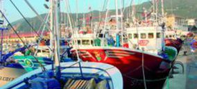 Proyecto Ondarroa contará con una planta de pescado fresco