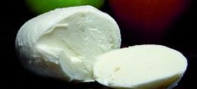 Lactics Santa Eugenia se trasladará a principios de año