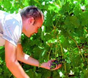 Bodegas Iniesta, a punto de lanzar sus primeros vinos