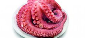 Meripul proyecta nuevas instalaciones en Marruecos