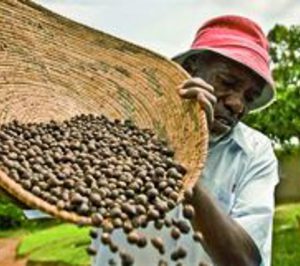 El Corte Inglés promoverá el comercio justo