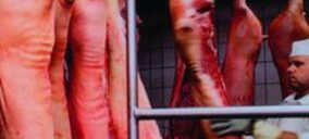 Pélbor dará entrada a nuevos accionistas