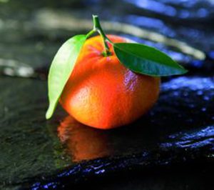 Nace Clemcott, una nueva identidad para la mandarina española 