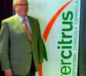 “La merma de producción en países competidores jugará una gran baza en el sector español esta campaña”