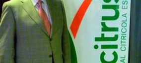 “La merma de producción en países competidores jugará una gran baza en el sector español esta campaña”