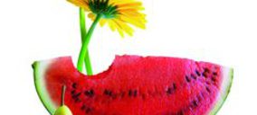 Frutas y Hortalizas: Concentración y rentabilidad, claves en el sector