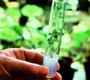 El sector alimentario UE incrementó un 5,3% sus inversiones en I+D