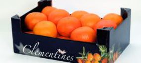 Smurfit Kappa presenta un envase pitufo de cartón ondulado para el sector frutícola