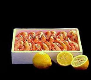 Isocold presenta concurso voluntario de acreedores