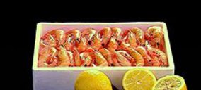 Isocold presenta concurso voluntario de acreedores