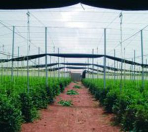 El campo almeriense continúa su concentración