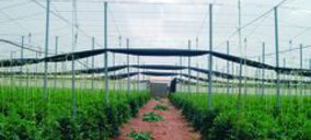 El campo almeriense continúa su concentración