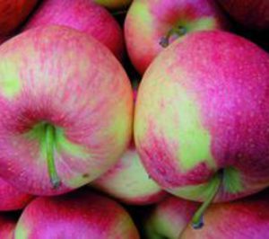 La producción de manzana y pera cae un 15% en la UE