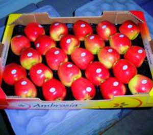 Grupo Lorenzo Carrasco impulsa la venta de manzana