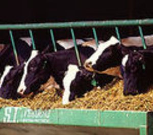 Íscar Alimentación Animal presenta concurso de acreedores