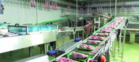 Cogal destina 45 M€ para sus primeros proyectos renovables