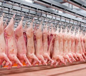 Pelbor presentará concurso voluntario en los próximos días