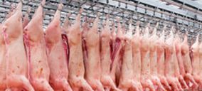 Pelbor presentará concurso voluntario en los próximos días