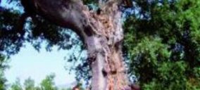 J. Vigas apuesta por el sistema FSC