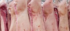 El Ayuntamiento de Getafe pondrá a la venta el matadero donde operaba Industria Mafasa