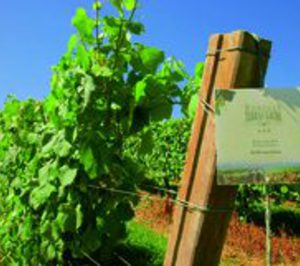 Terras Gauda llega al Duero