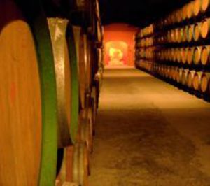 Fernández de Arcaya apuesta por el enoturismo y la internacionalización