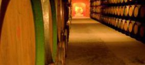 Fernández de Arcaya apuesta por el enoturismo y la internacionalización