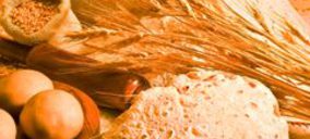 Halansa podría echar el cierre en breve