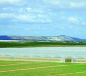 Vega Mayor invierte en el mayor invernadero de IV gama