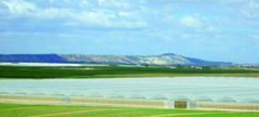 Vega Mayor invierte en el mayor invernadero de IV gama