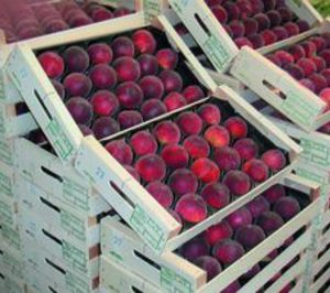 Grupo Pleguezuelos cambia de manos