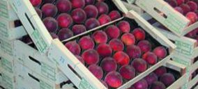 Grupo Pleguezuelos cambia de manos