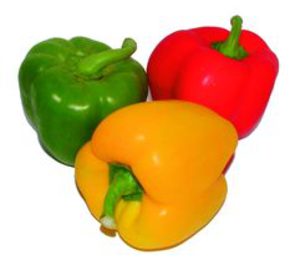 Agrupaadra mejora los procesos productivos tras una pésima campaña