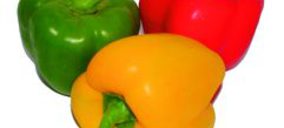 Agrupaadra mejora los procesos productivos tras una pésima campaña