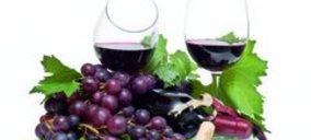 Los 100 mejores vinos según Wine Enthusiast