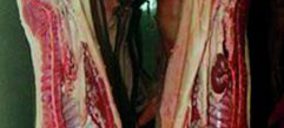 Makrocárnicas del Sur inicia actividad con la compra de Minarsa