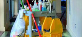 Adial registra un crecimiento de ventas en 2010