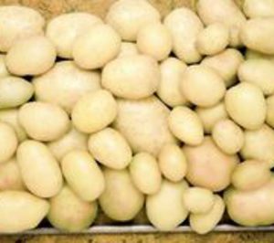 Patatas Naturales abandona su participación en Intersur