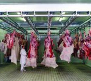 Ternabi negocia la reapertura del matadero de Bembibre