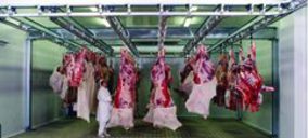 Ternabi negocia la reapertura del matadero de Bembibre