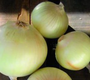La cebolla de Fuentes de Ebro tiene denominación
