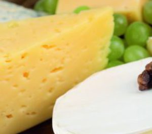 Emmi cierra 2010 con un crecimiento del 1,3%