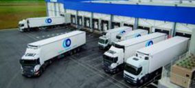 STEF-TFE vuelve al crecimiento