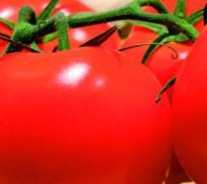 Marismas de Lebrija ejecuta las últimas mejoras en sus instalaciones