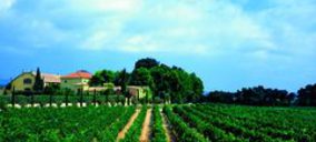 Grupo Torres recupera la senda alcista y anuncia sus planes para 2011