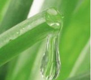 Impex Química cambia su razón social para adaptarse al grupo