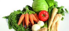 El grupo hortofrutícola CMR trasladará su sede a unas nuevas instalaciones