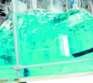 Basf obtiene la certificación bio para su adhesivo Epotal Eco